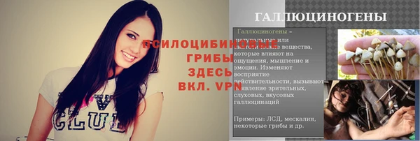 гидропоника Абдулино