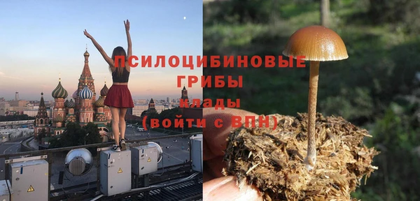 гидропоника Абдулино