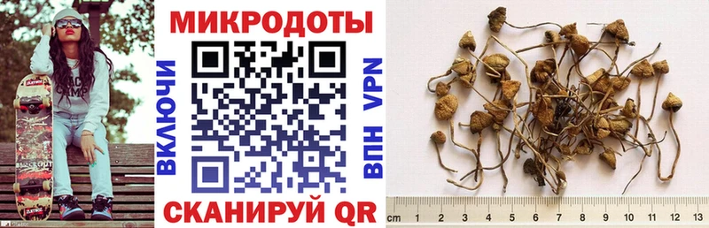 хочу Алексеевка Псилоцибиновые грибы мухоморы