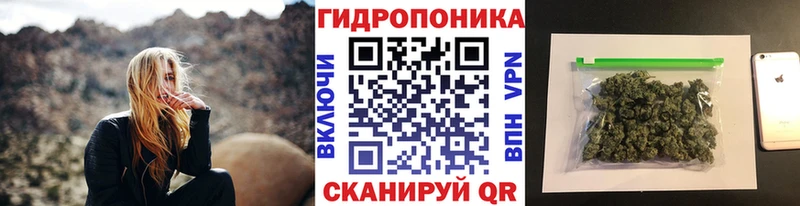 Канабис OG Kush Алексеевка
